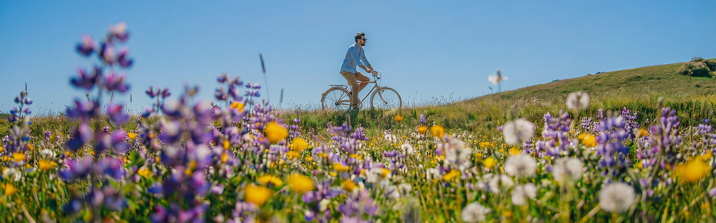 Man riding a bicycle through a wildflower field on a sunny day — Fard Works creative agency in NYC
